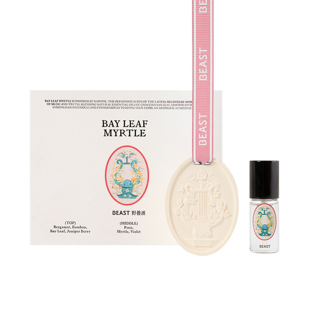 Brutalist Plaster Incense Trailer Car Fragrance