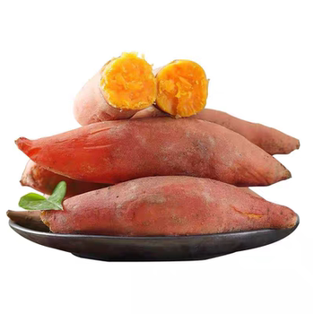Sandy yellow sweet potato, chestnut sweet potato, fresh pink waxy sweet potato, chestnut potato 5 pounds farm fresh sweet potato, smoked potato