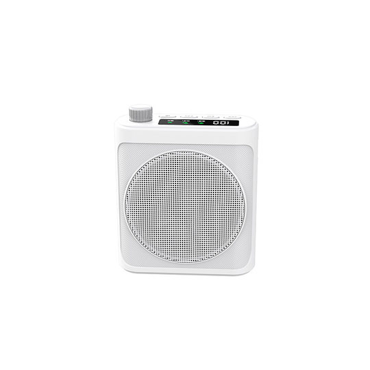 Kabelloser Lavalier-Lautsprecher für Vorträge | Tausende Menschen kauften mehr