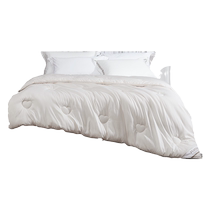 (Same style at counter) Fuanna Australian wool quilt thickened and warm pure wool quilt core for all seasons Yunmian