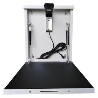 Calligraphy teaching high-photograph wall-mounted booth projector