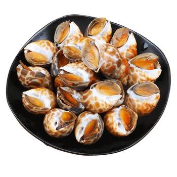 Fresh snails without saudi large size new arrival sf free shipping