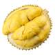 Thai golden pillow durian fresh whole fruit with shell