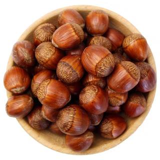 2025 fresh hazelnuts large hazelnuts new arrival