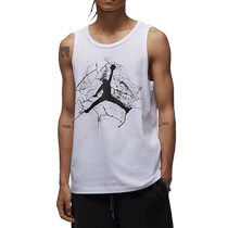 NIKE NIKE JORDAN Mens Loose Casual Burst Printed Sports Vest FZ1942-010