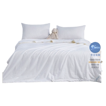 Mercury Home Textiles V Hypoallergenic Silk Summer Quilt Class A Antibacterial Summer Cooling Quilt Full Cotton Washable Air Conditioning Quilt Core
