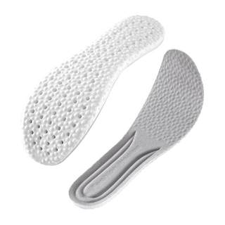 Highly elastic, shock-absorbing, breathable and anti-odor sports insole