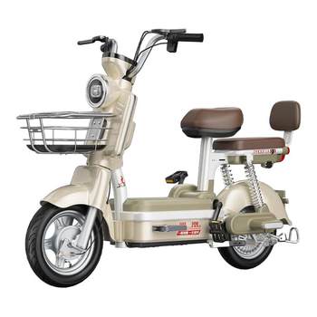 Phoenix electric vehicle adult assist lithium battery can be mounted on license plate