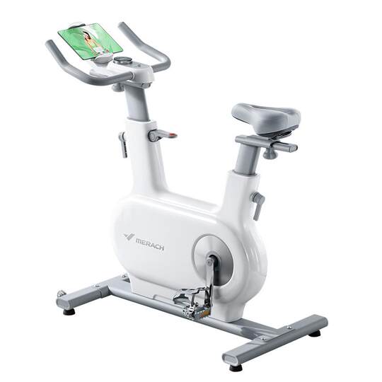 麦瑞克动感单车家用款健身房器材自行运动室内减肥专用绝影one2代