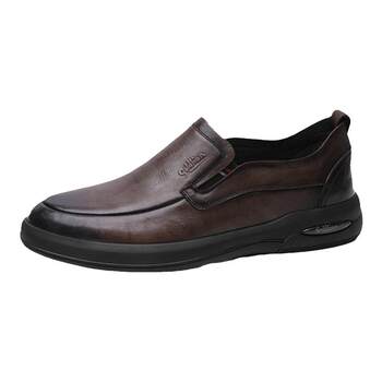 Goldlion genuine leather comfortable casual leather shoes