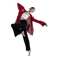 Baoguang Honghua modern dance practice clothes loose shirt straight dance pants summer elegant high-end womens tops