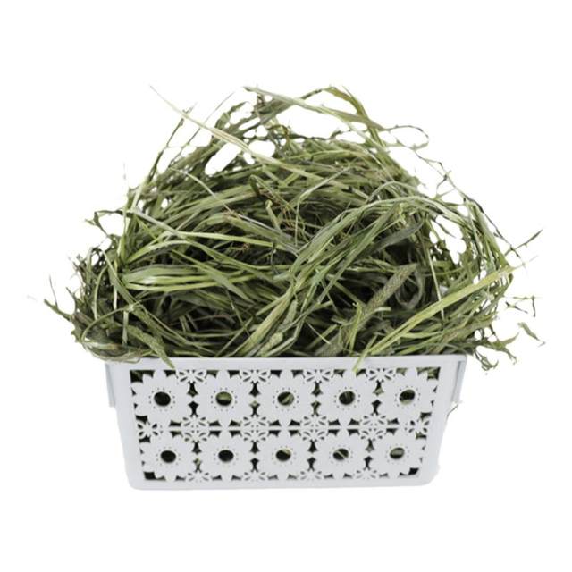 Gansu North Grass Industry Timothy Grass Rabbit Food Rabbit Feed
