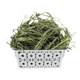 Gansu North Grass Industry Timothy Grass Rabbit Food Rabbit Feed
