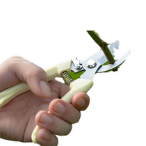 Household fruit tree scissors pruning artifact flower picking fruit pruning branch scissors greening grafting gardening scissors