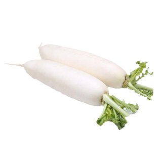 Short-leaf No. 13 early radish seeds are resistant to high temperatures and humidity