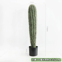 Симуляция 110 см Плотные шипы Большой Главная Скалья Скалью