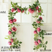 10 Big Rose Rose Pink