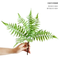 Имитируемый папоротник с 7-лиженным ласточками