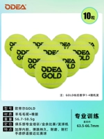 Золотые десять сумок для лодок