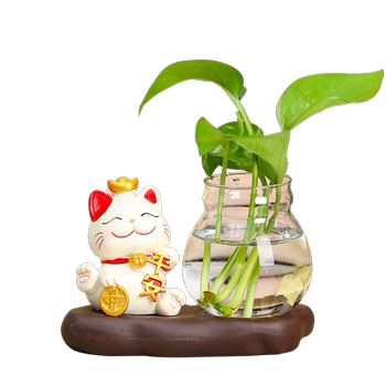 Kaishuai hydroponic flower pots, containers, vases, transparent flower arrangements