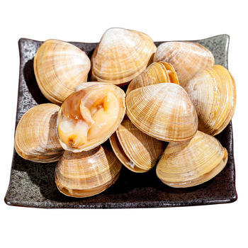 500g beijing flash delivery dandong specialty fresh yellow clams fresh seafood shellfish aquatic products clams