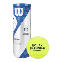 Wilson Wilson Shanghai Masters Official Competition Ball Adult Beginner Training Tennis 3 Pack