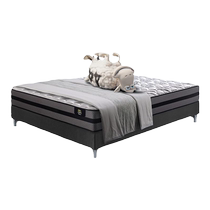 (Same model offline) Serta Lisbon independent pocket spring foam mattress smart two-piece set
