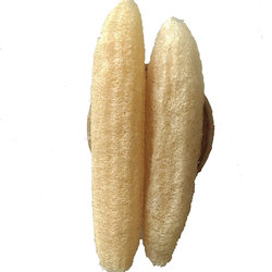 Loofah는 접시를 씻을 때 기름없이 얇고 부드럽습니다.