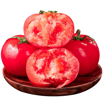 Xinjiang sand pulp tomatoes
