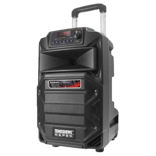 Leistungsstarker professioneller Karaoke-Lautsprecher von Temeisheng