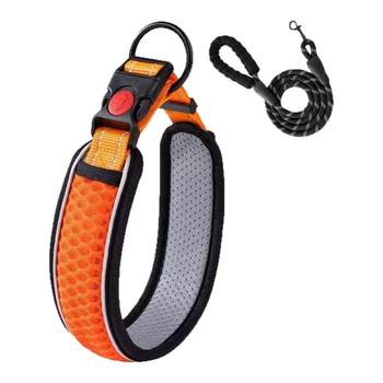 Gshine dog collar collar dog chain collar