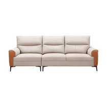 Chivas modern simple light luxury Nordic style skin-feeling technology fabric double sofa living room small apartment 6302