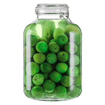 Glass sealed jar soaking wine bottle green plum enzyme bayberry wine