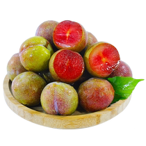 Zhengzong Guangdong Shaoguan Onyuan Sanhua Li Hongyuan Li Sweet Crisp Li Zi 5 catty fruits now removed from home Fruit 9