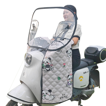 Electric vehicle protects against wind and rain