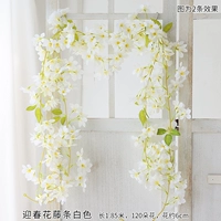 Добро пожаловать в весенний цветочный ротан белый