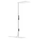 Bull Small Clear Sky Vertical Floor Lamp Eye Protection Street Lamp