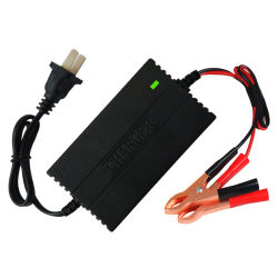 ຫມໍ້ໄຟລົດຈັກ 12V clip charger 12v car battery repair charger dry water pedal universal type