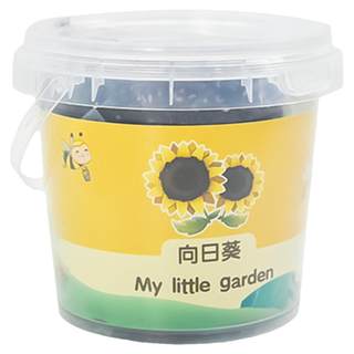 Children's plant planting observation small potted sunflower