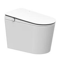 Realt High-end Smart Toilet Foam Shield No Water Pressure Limitation Automatic Flip A60