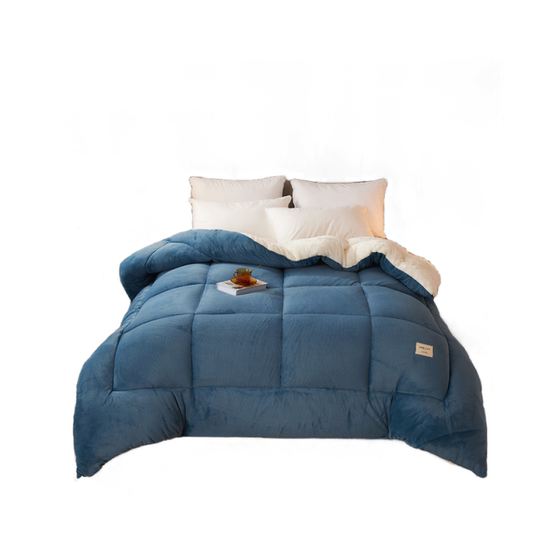 Lamb velvet double-sided velvet quilt winter thickened warm quilt student dormitory single space quilt