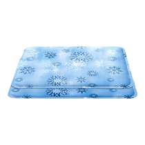 Coussin de glace dété coussin de siège coussin frais canapé coussin froid coussin deau sac de glace oreiller de glace artefact de refroidissement dété 1767F