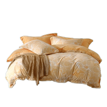 Mercury Home Textiles Milk Velvet Four-piece Set Double-sided Warm Velvet Set Anti-static Quilt Cover Sheets Thickened Bedding 24 New Products