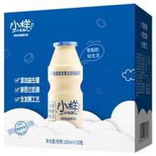 小样乳酸菌经典原味款酸奶