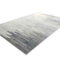 Carpet living room light luxury high-end home 2024 new sofa coffee table blanket bedside bedroom soundproof floor mat 2556