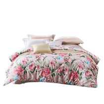 Fu Anna Home Textiles Australian imported wool quilt 100% printed pure wool quilt core thickened warm winter quilt dormitory
