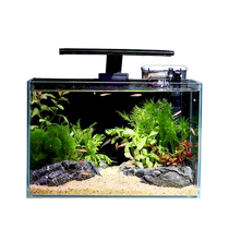 Fish tank living room small ecological landscaping complete set of small fish tank on the table next to the TV cabinet for home use without water change super white