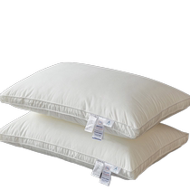 Palace mosquito net bedroom household single door 2024 new thickened bracket 1 5m floor-standing installation-free