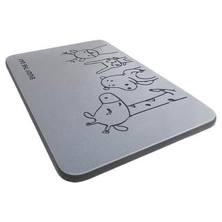 Diatom mud floor mat absorbs water