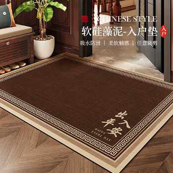 Access safe floor mats, door mats, diatom mud, water-absorbent, non-slip, dirt-resistant, home entrance door mats, carpet customization